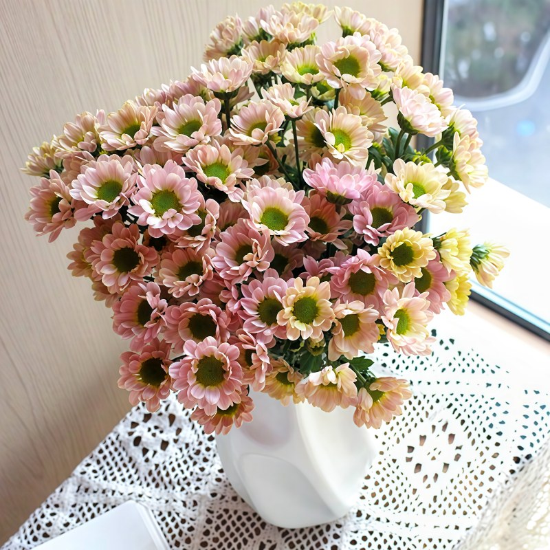 小菊-爱之粉B