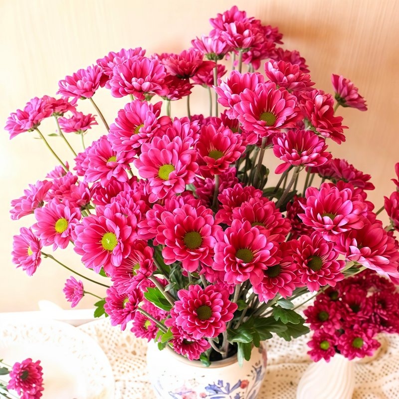 小菊-吉祥B
